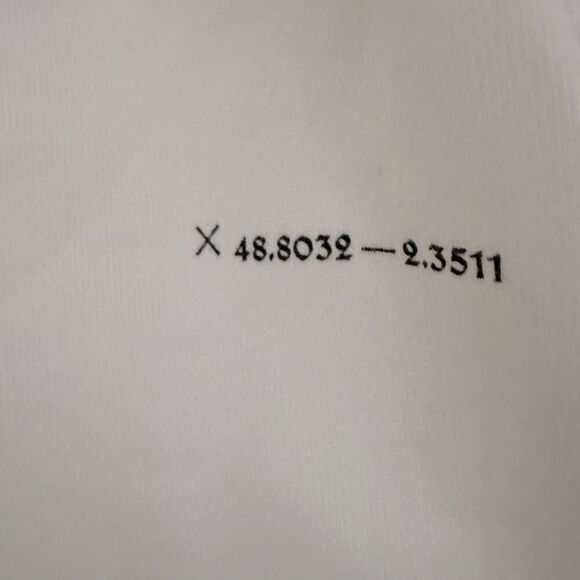 Zara white mid weight sweatshirt with text on front and back. NWOT M - Picture 3 of 15